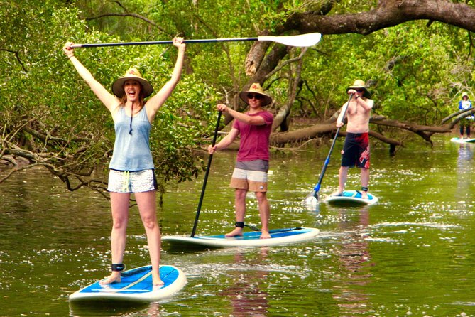Byron Stand Up Paddle Nature Tour - Starting with a land lesson