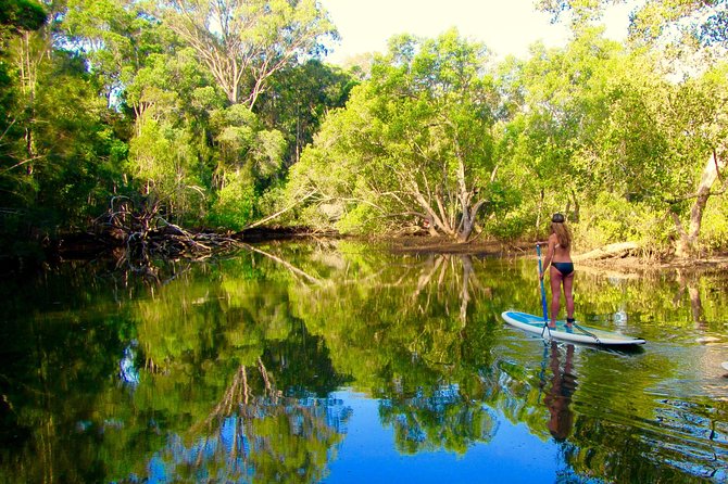 Byron Stand Up Paddle Nature Tour - What the guides add