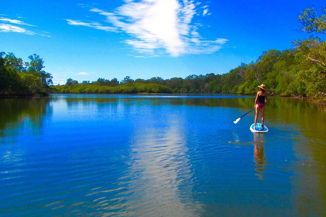 Byron Stand Up Paddle Nature Tour - Who should choose this paddle tour?
