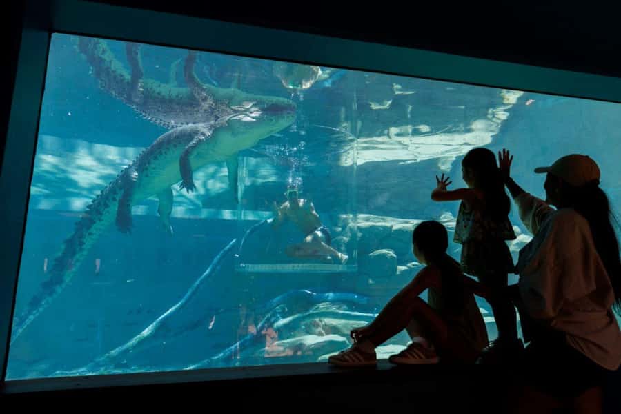 "Cage Of Death" Crocodile Swim and Entry to Crocosaurus Cove - Fifteen minutes with Leo, Baru, William, or Kate