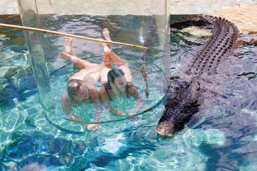 "Cage Of Death" Crocodile Swim and Entry to Crocosaurus Cove - The safety briefing sets the tone