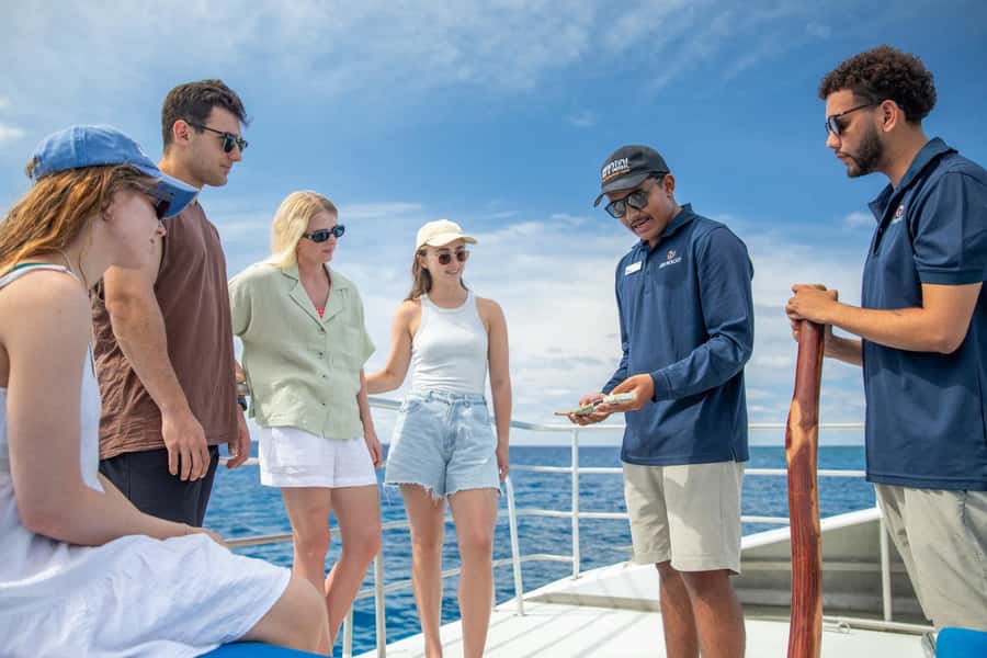 Cairns: 2-Day Great Barrier Reef and Fitzroy Island Tour - Day one: a full day above the Outer Great Barrier Reef