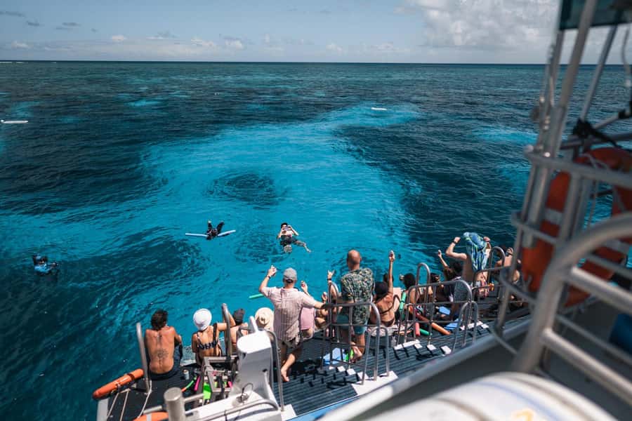 Cairns: 2-Day Great Barrier Reef and Fitzroy Island Tour - What you may see in the reef water