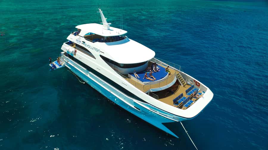 Cairns: 2-Day Great Barrier Reef & Daintree Rainforest Tour - Five things to know before booking