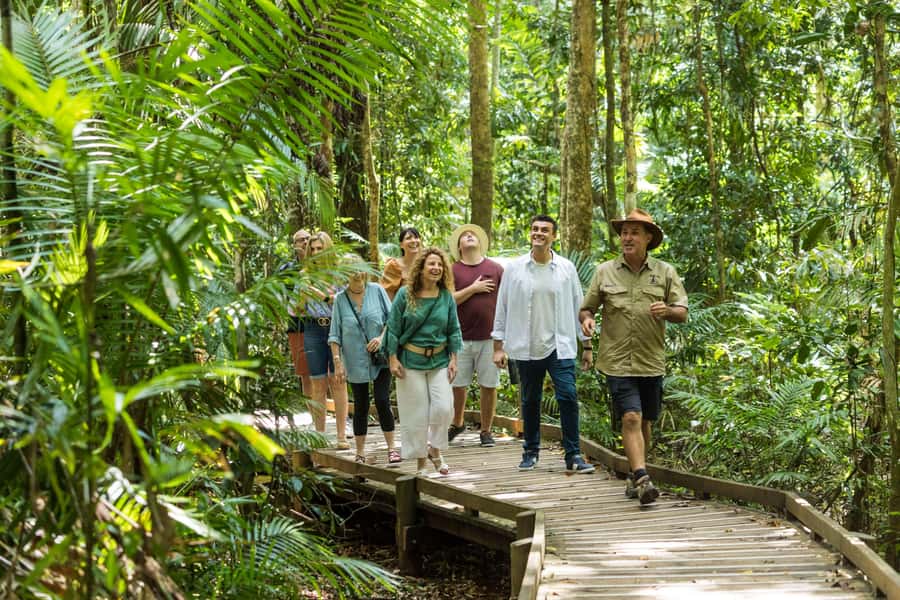 Cairns: 2-Day Great Barrier Reef & Daintree Rainforest Tour - Crocodiles and birdlife on the Daintree River