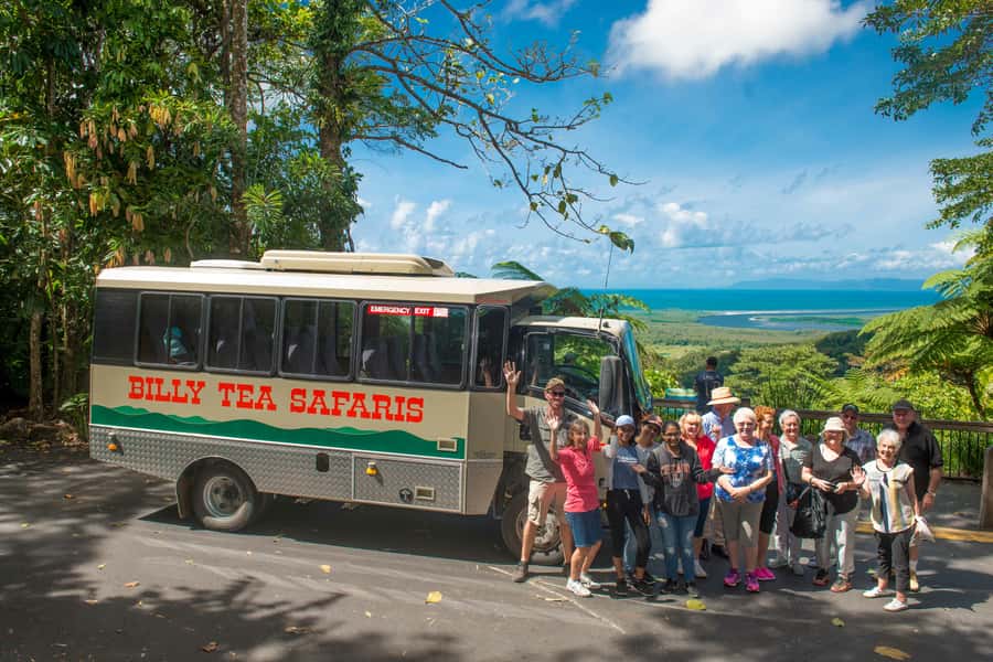 Cairns: 2-Day Great Barrier Reef & Daintree Rainforest Tour - A raised boardwalk and a short rainforest walk
