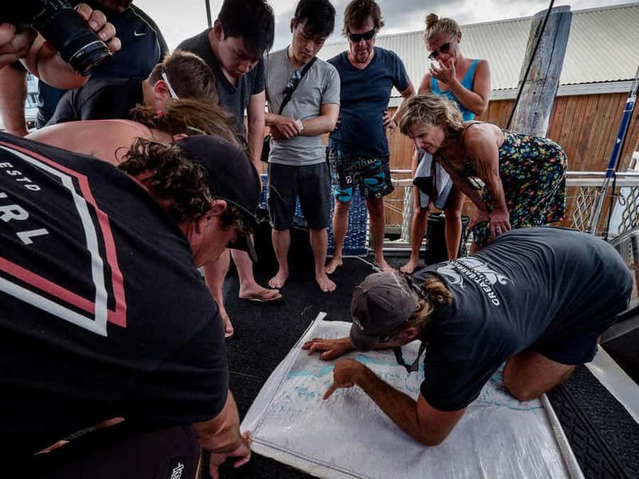 Cairns: 2-Day Great Barrier Reef Dive and Snorkel Boat Trip - Key points to know before you book
