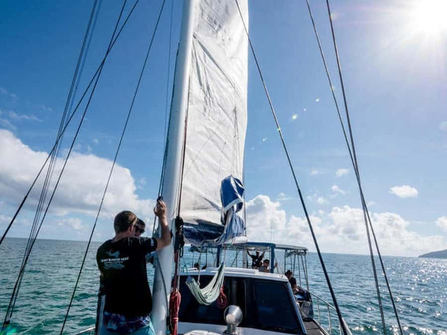 Cairns: 2-Day Great Barrier Reef Dive and Snorkel Boat Trip - What the first day on the reef is like