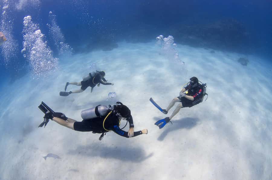Cairns: 4-Day PADI Open Water Course - Who should book this course?