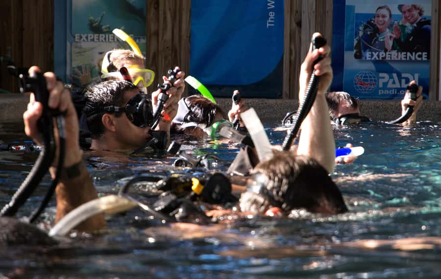 Cairns: 4-Day PADI Open Water Course - How to prepare for four demanding days