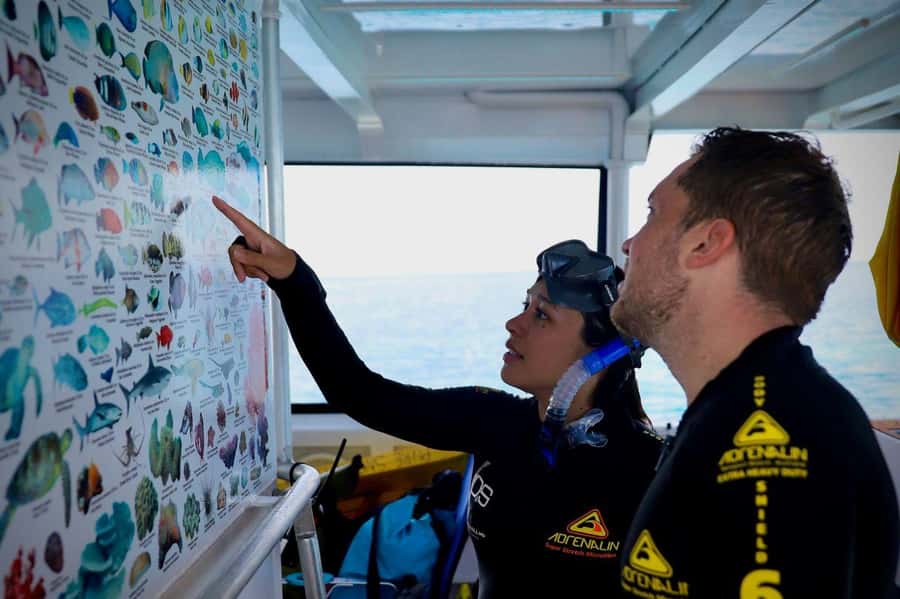 Cairns: All-Inclusive Great Barrier Reef Half-Day Snorkeling - Key points at a glance