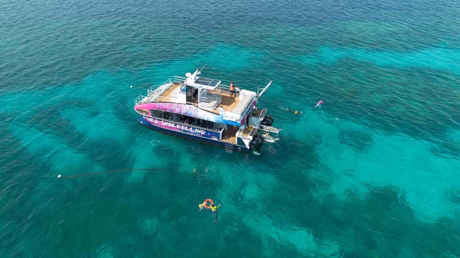 Cairns: All-Inclusive Great Barrier Reef Half-Day Snorkeling - Why this half-day trip works so well