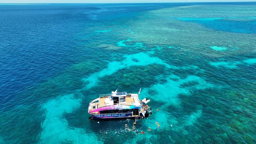 Cairns: All-Inclusive Great Barrier Reef Half-Day Snorkeling - Starting at Cairns Marlin Marina