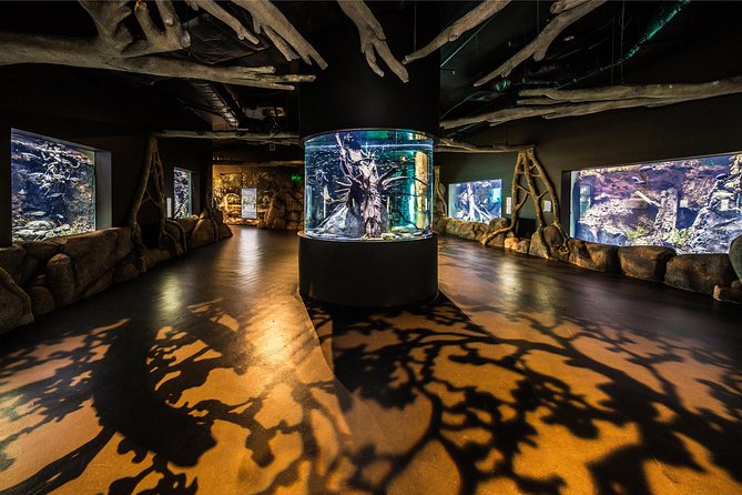 Cairns Aquarium Admission Ticket - Key points at a glance