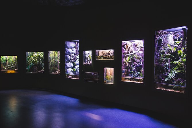 Cairns Aquarium by Twilight Tour - Why the guide can make or break the visit