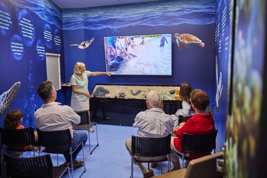 Cairns: Aquarium Entry Ticket and Turtle Rehabilitation Tour - What the turtle rehabilitation session actually adds