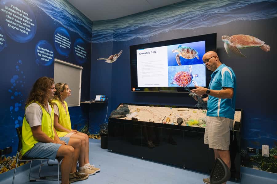 Cairns: Aquarium Entry Ticket and Turtle Rehabilitation Tour - Simple ways to plan your day