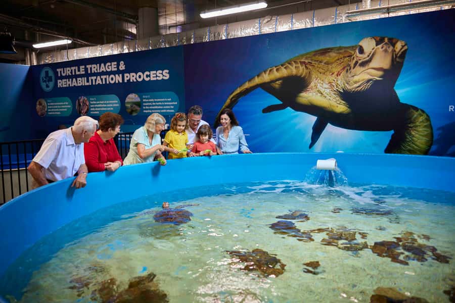 Cairns: Aquarium Entry Ticket and Turtle Rehabilitation Tour - The 10-meter reef tank is the big visual moment