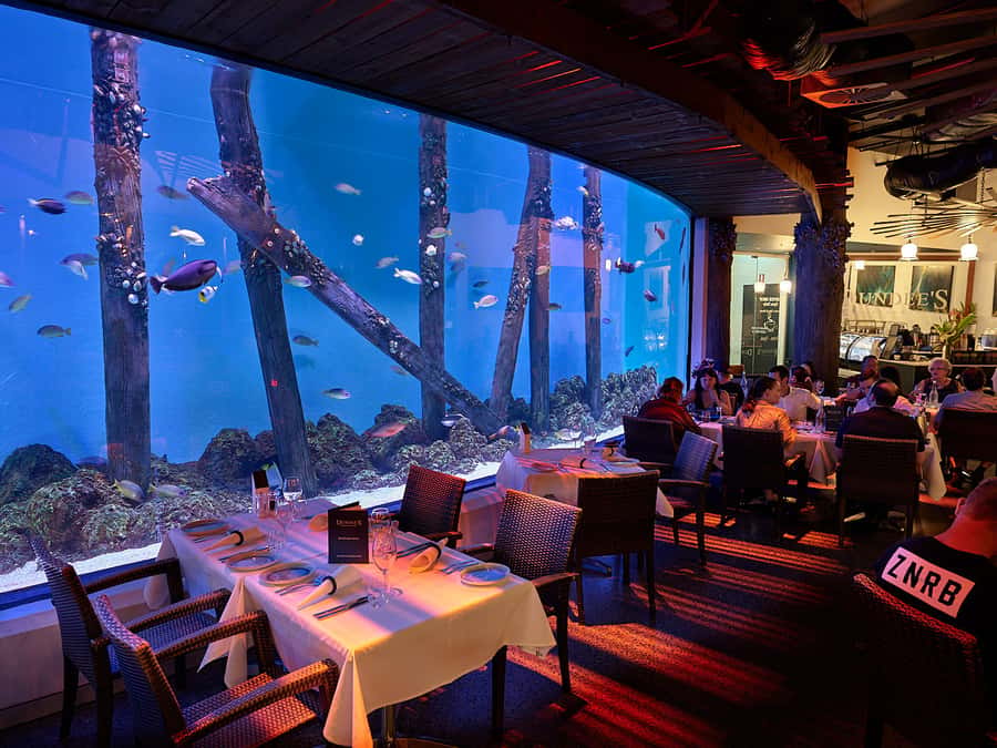 Cairns Aquarium General Admission Ticket - The rainforest and freshwater exhibits