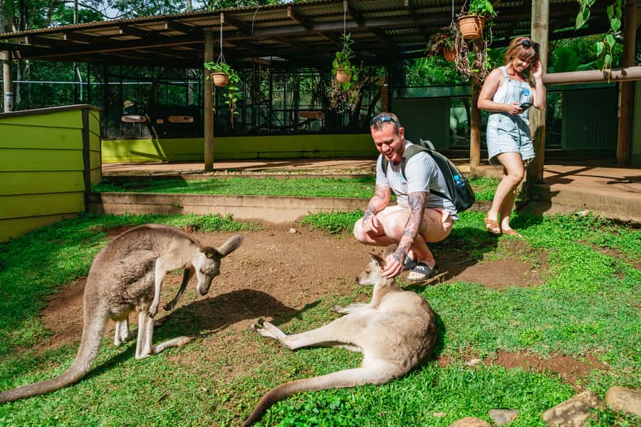 Cairns: Best of the Kuranda Rainforest Full-Day Tour & Lunch - Lunch and Rainforestation Nature Park