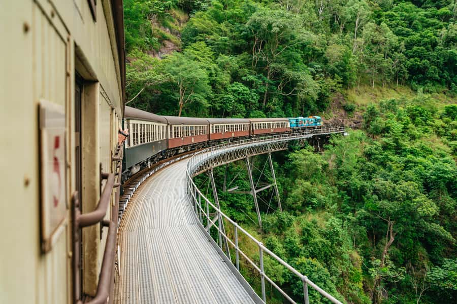 Cairns: Best of the Kuranda Rainforest Full-Day Tour & Lunch - Kuranda’s butterflies up close