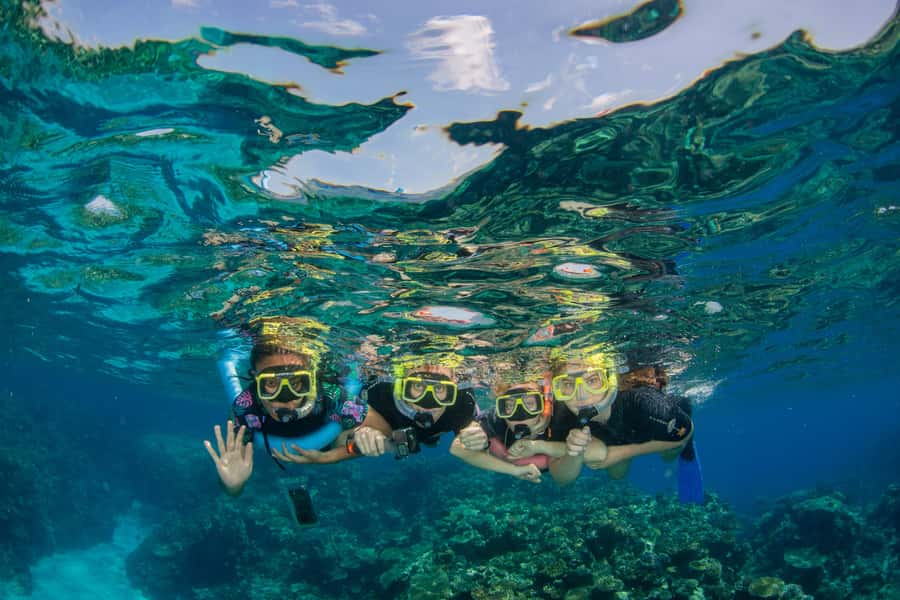 Cairns: Best Value All-inclusive Reef Trip With Scuba Dive - Why this Cairns reef trip offers strong value