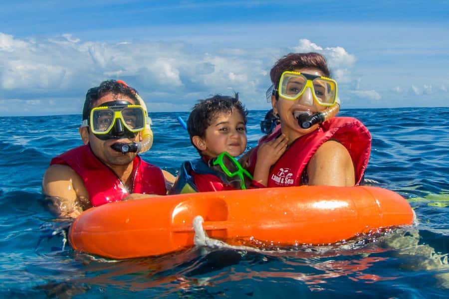 Cairns: Best Value All-inclusive Reef Trip With Scuba Dive - Your first reef session: scuba or snorkeling