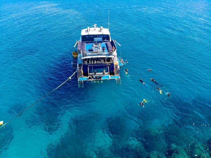 Cairns: Best Value All-inclusive Reef Trip With Scuba Dive - Unlimited snorkeling at the second site