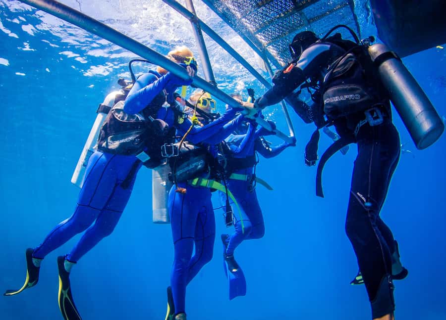 Cairns: Best Value All-inclusive Reef Trip With Scuba Dive - Is the optional second scuba session worth it?