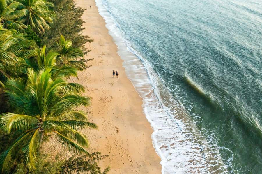 Cairns: Cairns City Sights & Surrounds Half Day Tour - Group size, comfort, and access
