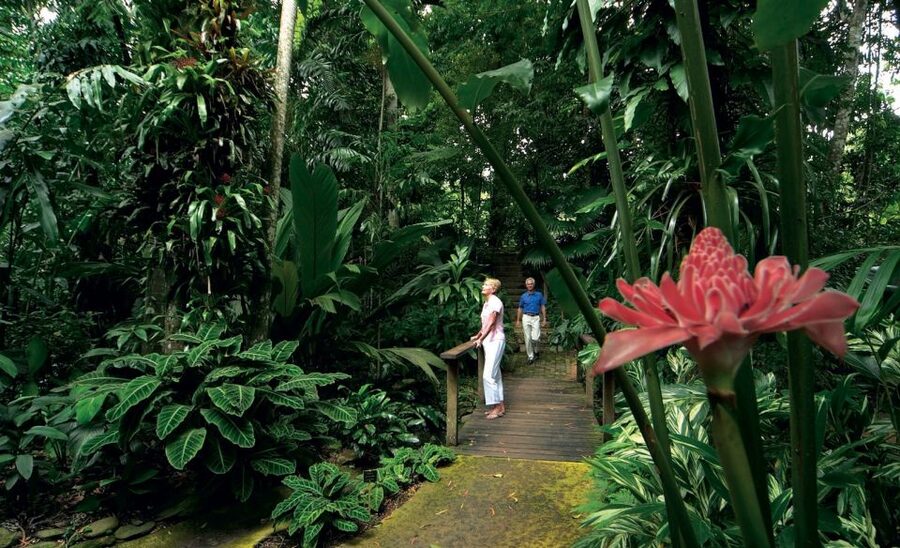 Cairns: Cairns City Sights & Surrounds Half Day Tour - High views over Cairns and the Coral Sea