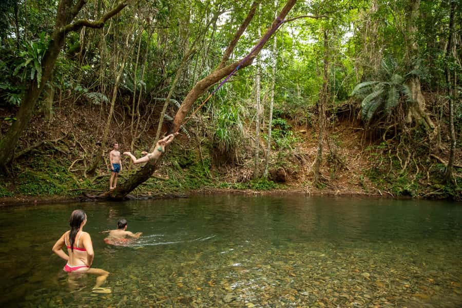 Cairns: Cape Tribulation, Beaches, Crocs & Swimming Day Tour - Key points to know before you book