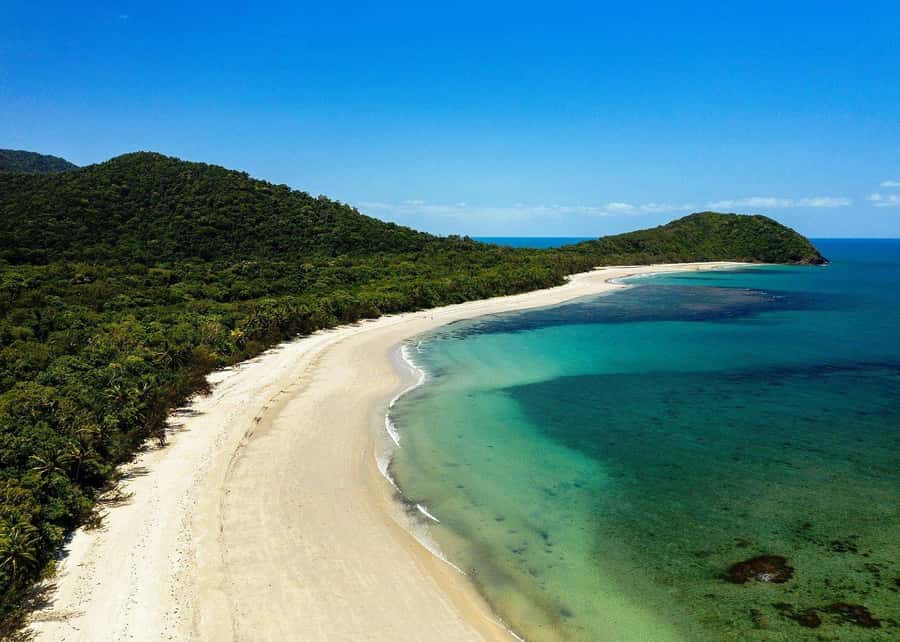 Cairns: Cape Tribulation, Beaches, Crocs & Swimming Day Tour - Why this Cape Tribulation day is worth considering