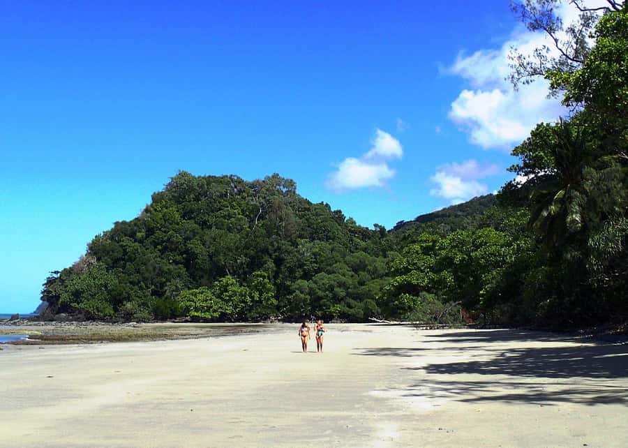 Cairns: Cape Tribulation, Beaches, Crocs & Swimming Day Tour - Crossing the Daintree River