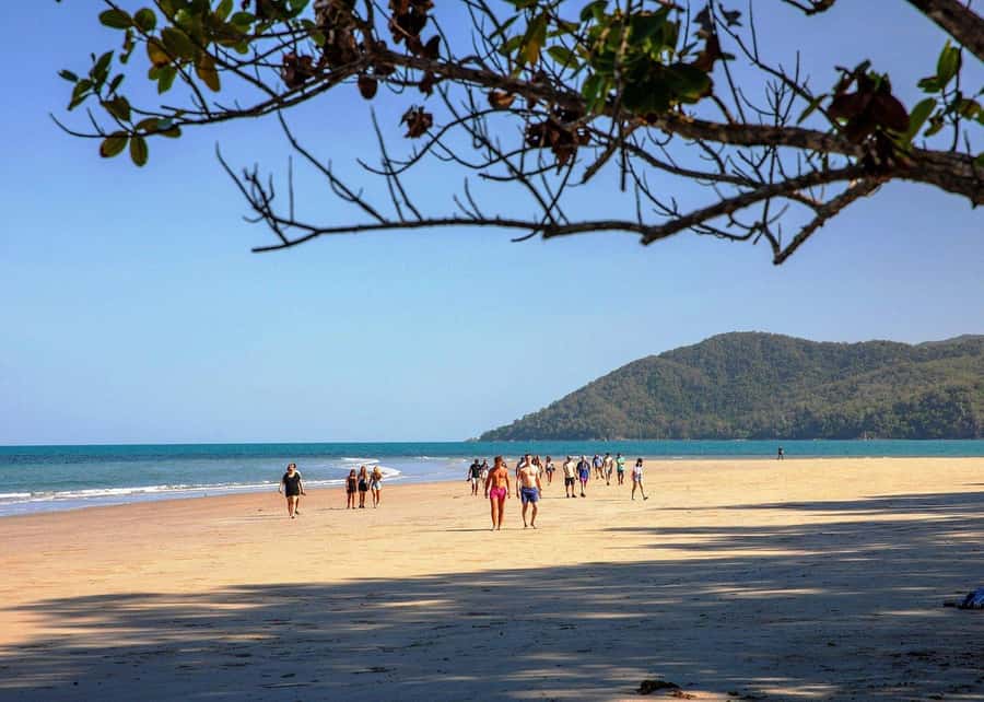 Cairns: Cape Tribulation, Beaches, Crocs & Swimming Day Tour - Lunch, beach time, and the tropical coast