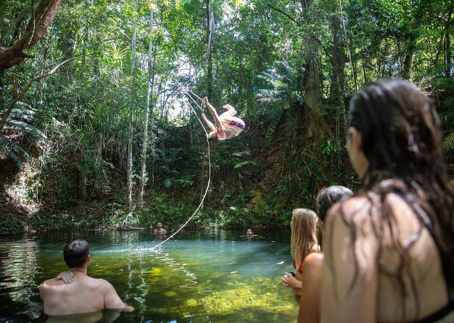 Cairns: Cape Tribulation, Beaches, Crocs & Swimming Day Tour - The crocodile cruise on the Daintree River