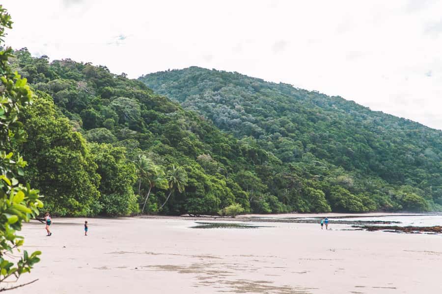 Cairns: Cape Tribulation, Daintree, Mossman and Port Douglas - A long day with a very full North Queensland picture