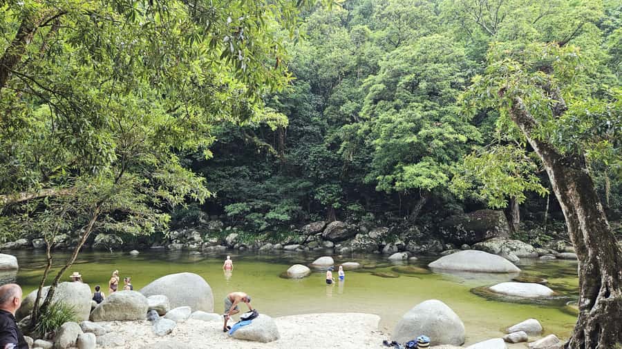 Cairns: Cape Tribulation, Daintree, Mossman and Port Douglas - Cape Tribulation and the Kulki Lookout