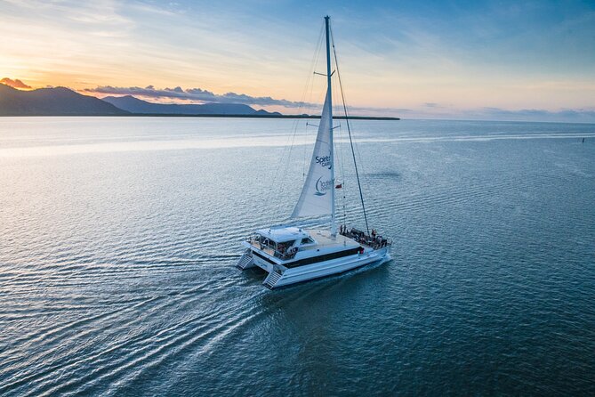 Cairns Catamaran Harbour and Dinner Cruise - Trinity Inlet, mangroves, and mountain views