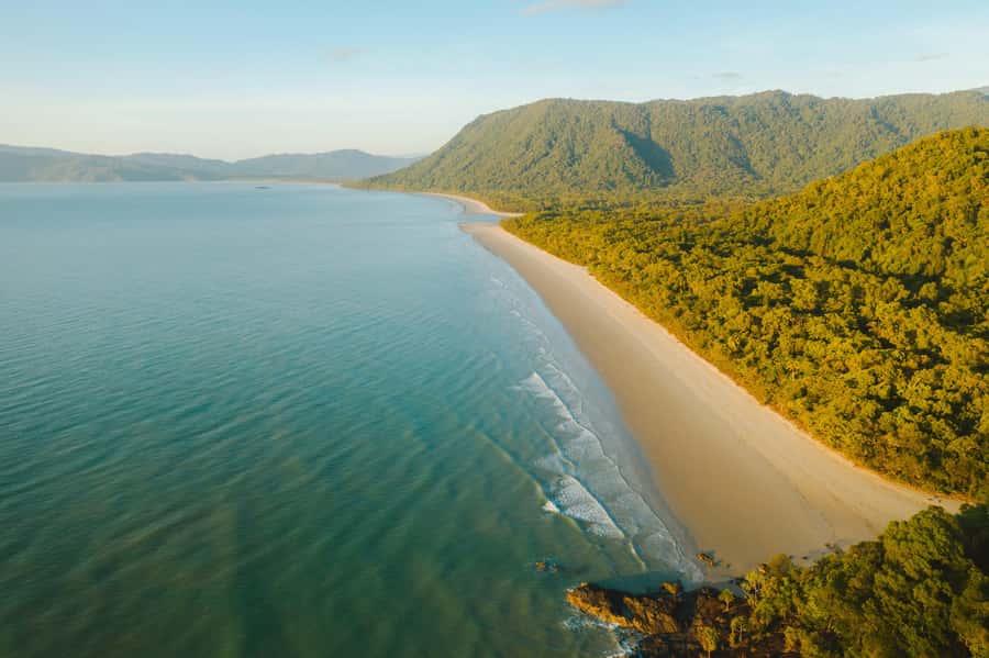 Cairns: Daintree, Mossman Gorge, & Cape Tribulation Day Trip - Key points at a glance