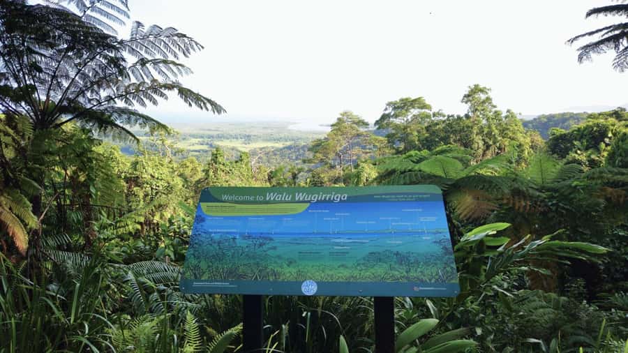 Cairns: Daintree, Mossman Gorge, & Cape Tribulation Day Trip - Why this Daintree day trip works