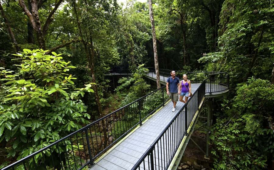 Cairns: Daintree, Mossman Gorge, & Cape Tribulation Day Trip - Mossman Gorge, the first major stop