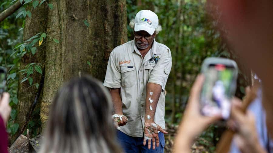 Cairns: Daintree Rainforest and Mossman Gorge Tour - Key things to know before booking