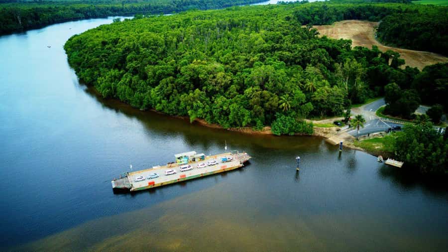 Cairns: Daintree Rainforest and Mossman Gorge Tour - Who should book this Daintree tour?