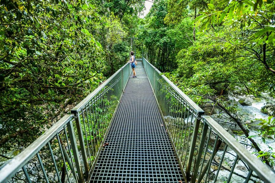 Cairns: Daintree Rainforest and Mossman Gorge Tour - How the schedule feels in real life