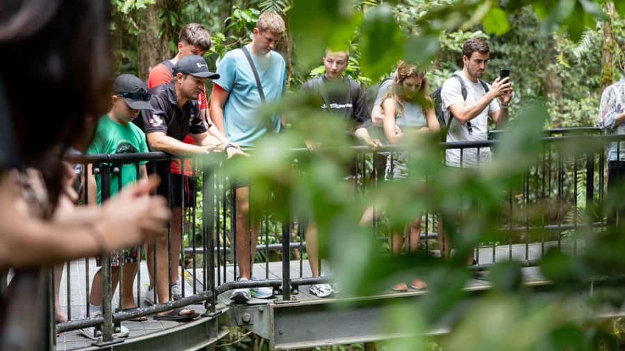 Cairns: Daintree Rainforest and Mossman Gorge Tour - The scenic road from Cairns to Port Douglas