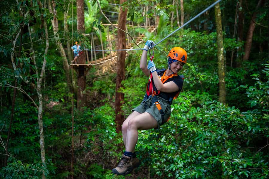 Cairns: Daintree Rainforest Canopy Ziplining Tour - The 200-metre walk and first look at the treetops