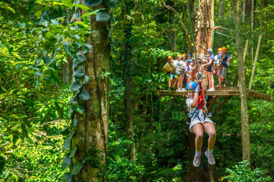 Cairns: Daintree Rainforest Canopy Ziplining Tour - Ziplines through the Daintree canopy