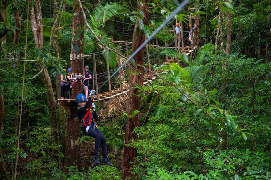 Cairns: Daintree Rainforest Canopy Ziplining Tour - Getting ready for the forest course