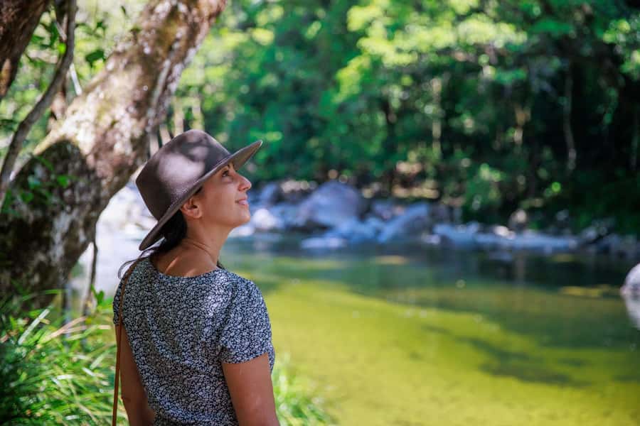 Cairns: Daintree Rainforest & Cape Tribulation Day Trip - Key points at a glance